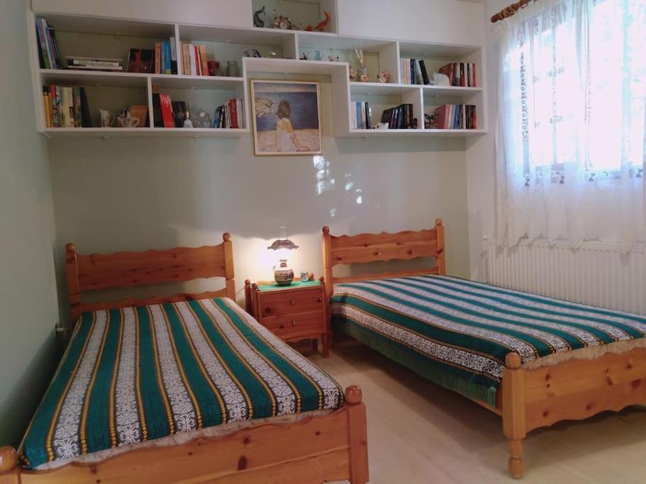 Explore Aegina Island سوفالا المظهر الخارجي الصورة