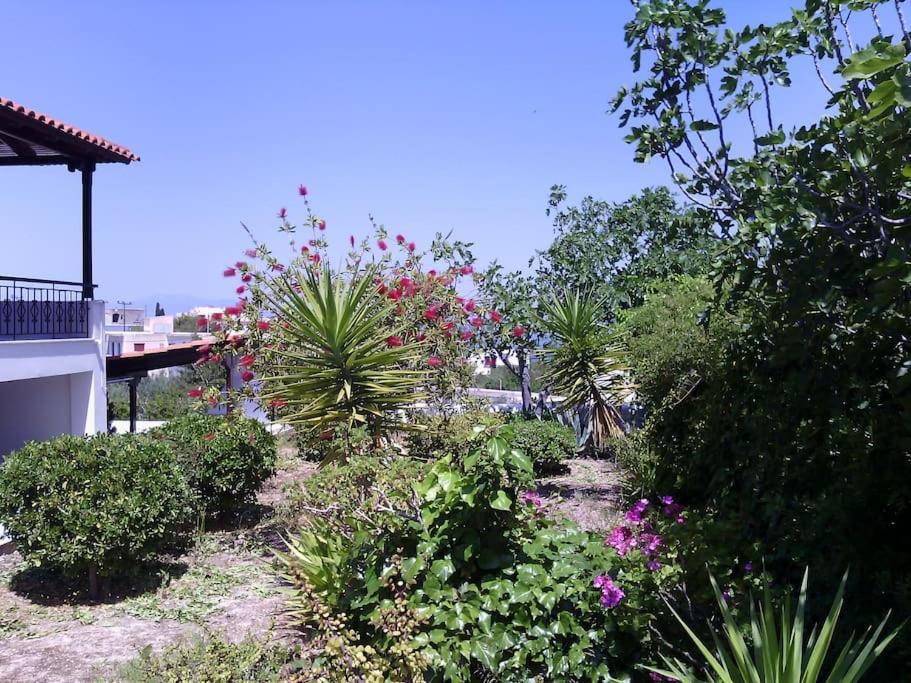 Explore Aegina Island سوفالا المظهر الخارجي الصورة